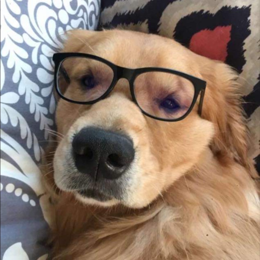 Meet your Posher, Daintry